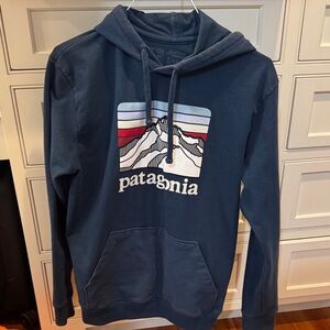 Patagonia Men's Navy Graphic Hoodie